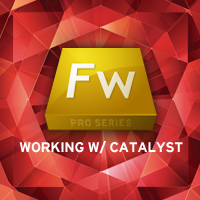 Fireworks Pro Series: Working with Flash Catalyst