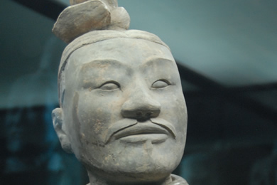 Terra Cotta Warrior 